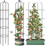 Meilleurs treillis jardin : Analyse et comparaison des options les plus élégantes